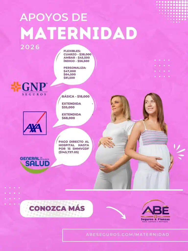 apoyo de maternidad