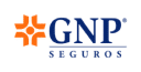 GNP